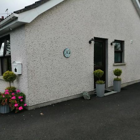 Lynn'S Lodge, International Airport 15Mins Randalstown Esterno foto
