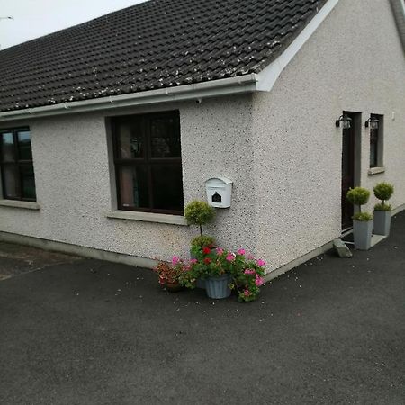 Lynn'S Lodge, International Airport 15Mins Randalstown Esterno foto