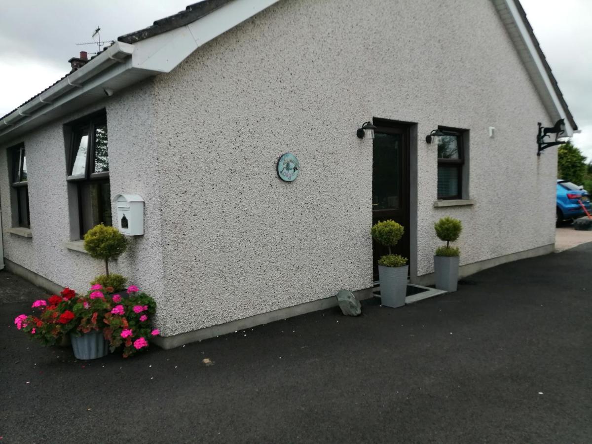 Lynn'S Lodge, International Airport 15Mins Randalstown Esterno foto