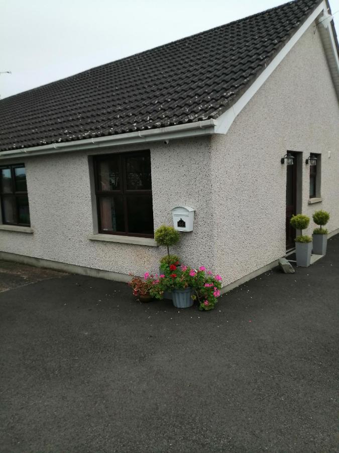 Lynn'S Lodge, International Airport 15Mins Randalstown Esterno foto